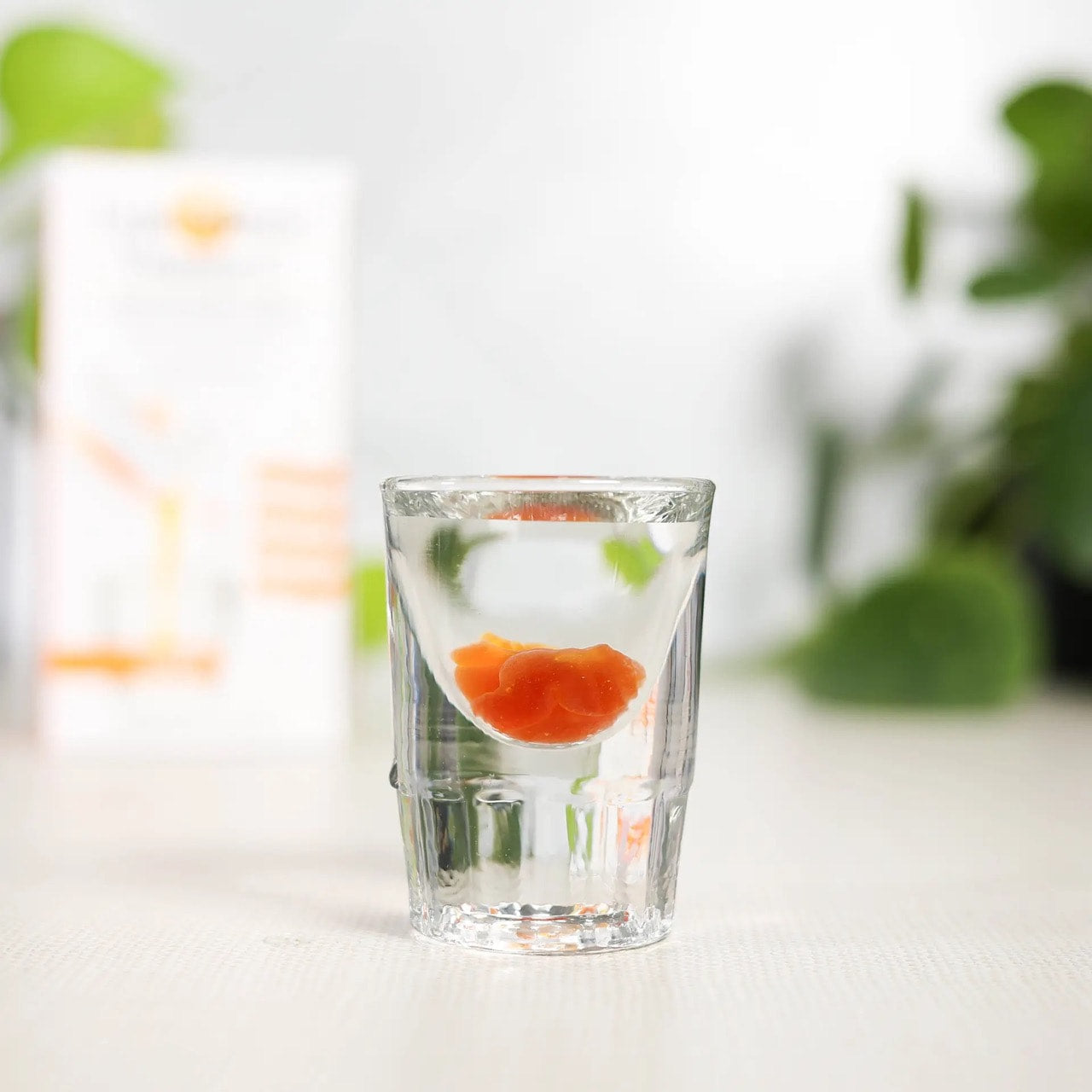 LIVON LABS Lypo-Spheric Vitamin C