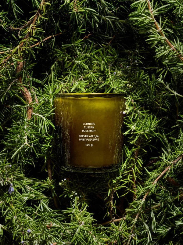 FLAMINGO ESTATE Tuscan Rosemary Candle