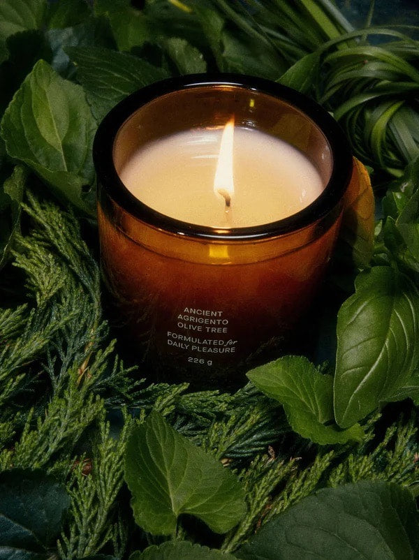 FLAMINGO ESTATE Olive Tree Candle